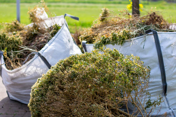 Best Dumpster Rental Services  in Groesbeck, TX